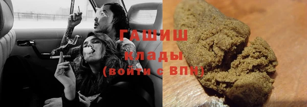 гидра Бородино