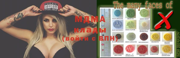 гидра Бородино