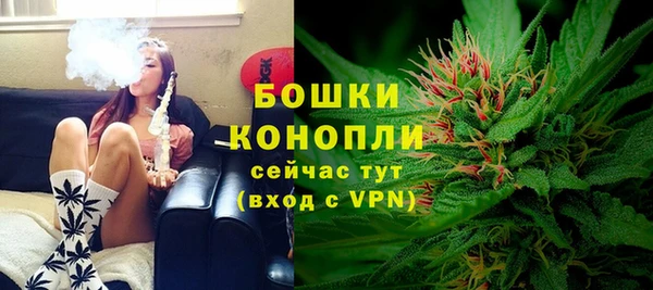 гидра Бородино