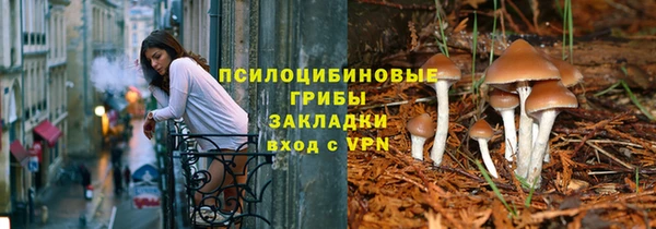 таблы Богородск
