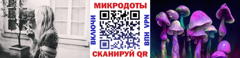 Галлюциногенные грибы MAGIC MUSHROOMS  хочу наркоту  Белгород 
